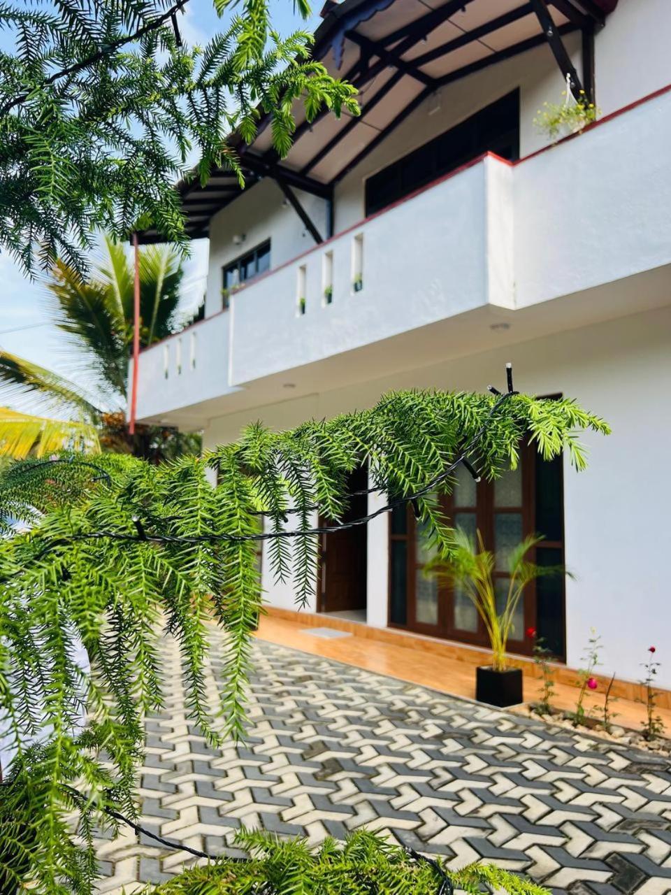 Montes Ella Bed & Breakfast ภายนอก รูปภาพ
